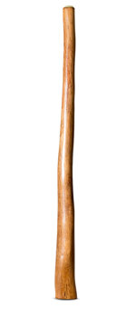 Natural Finish Flared Didgeridoo (TW1819)